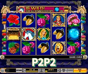 P2P2 Seguro SSL